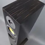 Recensione: Davis Acoustics Courbet No.7 Altoparlante