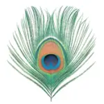 XTC's Apple Venus Vol. 1, 200 grammi Vinile, CD, Tidal Recensito