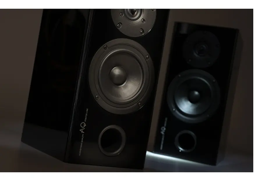 Altoparlanti PONTOS 9