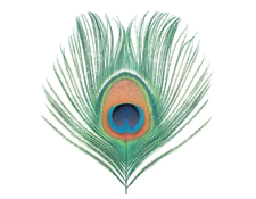 XTC's Apple Venus Vol. 1, 200 grammi Vinile, CD, Tidal Recensito