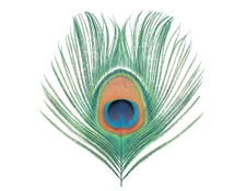 XTC's Apple Venus Vol. 1, 200 grammi Vinile, CD, Tidal Recensito