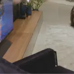 LG presenta 