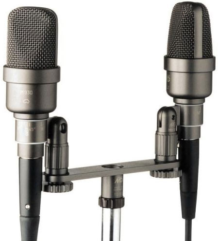 Le tue orecchie che ascoltano la musica sono abbastanza buone?