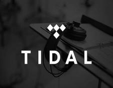 Qobuz and Tidal - La nuova battaglia dei servizi di streaming Hi-Rez