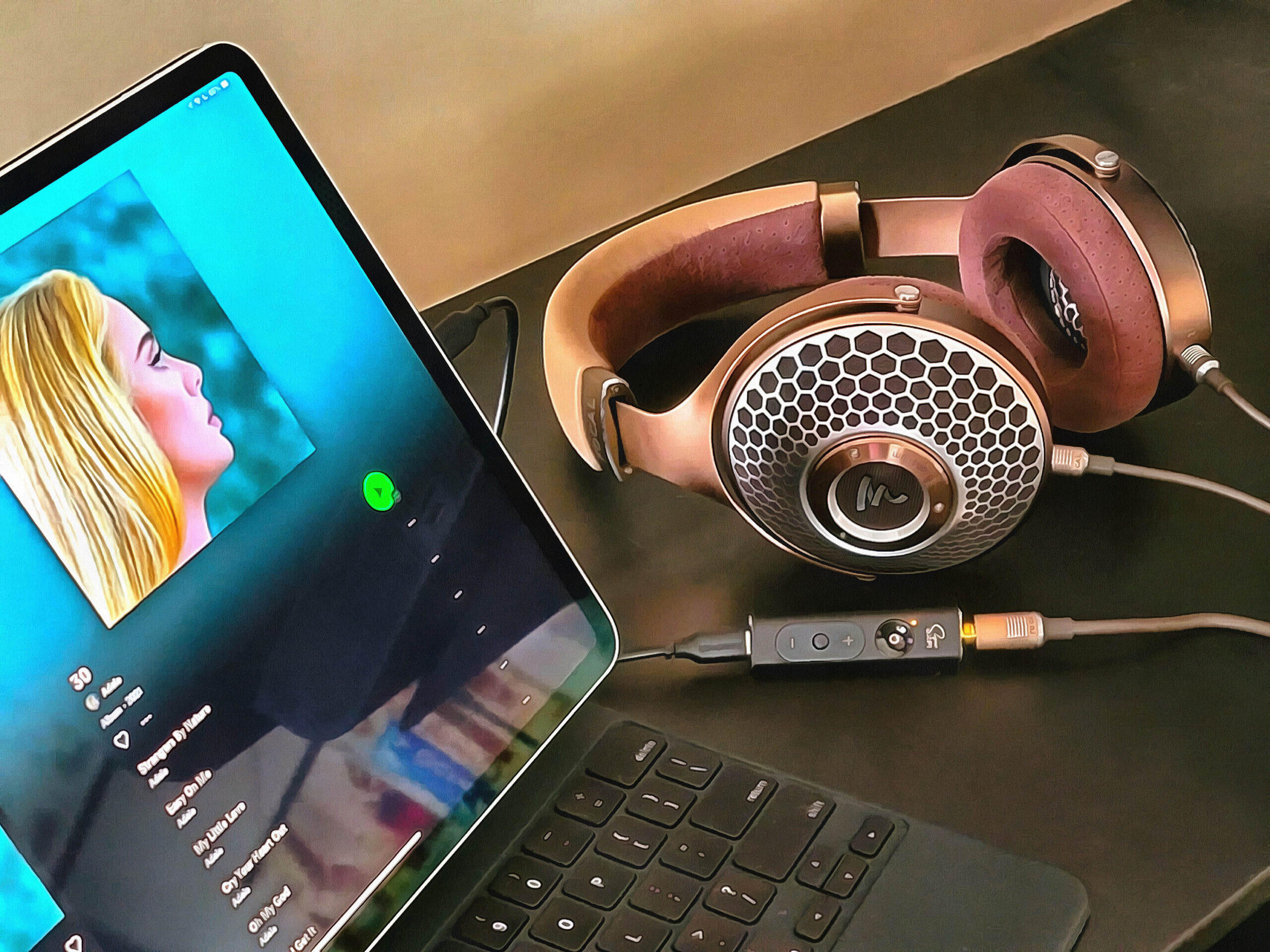 Adele può salvare gli album? Spotify ferma lo shuffle, twitta 