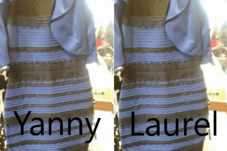 I giochi Yanny e Laurel Mind