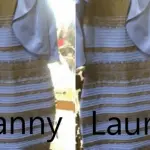 I giochi Yanny e Laurel Mind