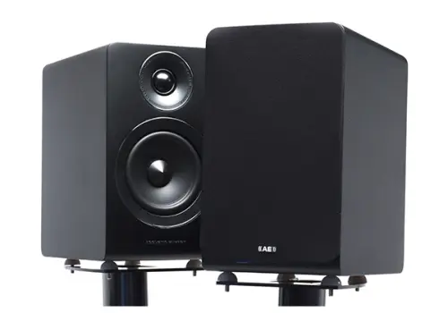 Altoparlanti Acoustic Energy AE100