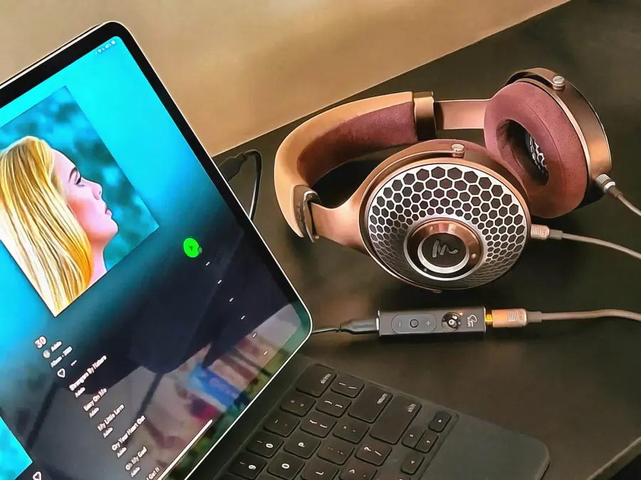 Adele può salvare gli album? Spotify ferma lo shuffle, twitta "Anything for You"