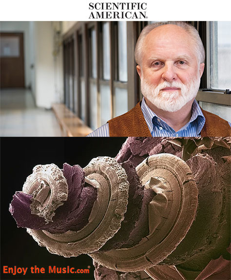 C'è un "piano inverso" nella tua testa secondo un neuroscienziato