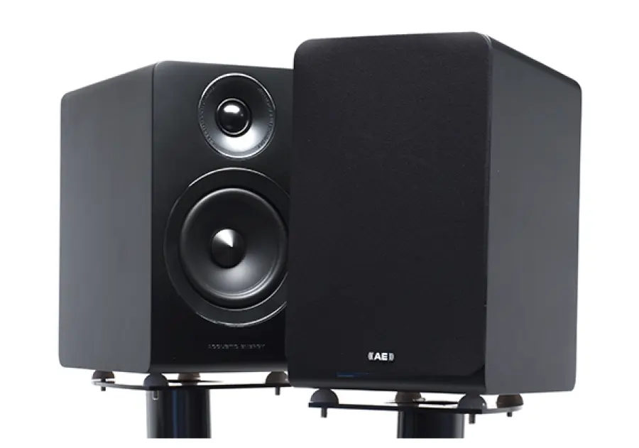 Altoparlanti Acoustic Energy AE100