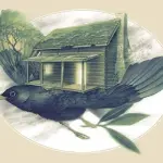 Venerdì Nuova Musica