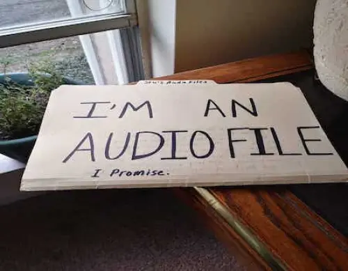 Che tipo di audiofilo sei?