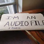 Che tipo di audiofilo sei?