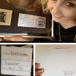 Grandi novità Steely Dan appena presentate!