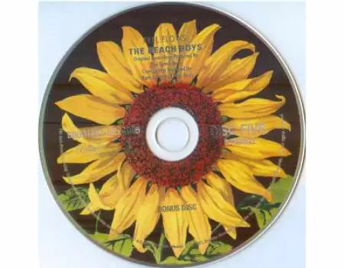 Hai bisogno del set di cinque CD Super Deluxe Edition di The Beach Boys? Parte 1