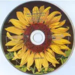 Hai bisogno del set di cinque CD Super Deluxe Edition di The Beach Boys? Parte 1