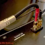 Premio Blue Note: recensione del cavo di interconnessione e altoparlante Black Cat Graceline di livello 2