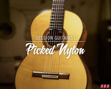 Chitarrista di sessione: Picked Nylon