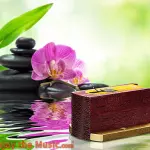 TBT: Recensione della cartuccia fono a bobina mobile Kiseki Purple Heart NS