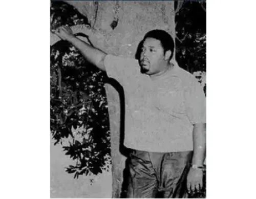 Perché preferisco scoprire artisti vintage come Lee Moses nei negozi di dischi?