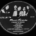 Flamin' Groovies, Dave Edmunds, Rock 'n Roll e Record Store Day