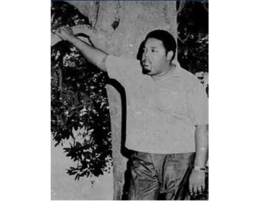 Perché preferisco scoprire artisti vintage come Lee Moses nei negozi di dischi?