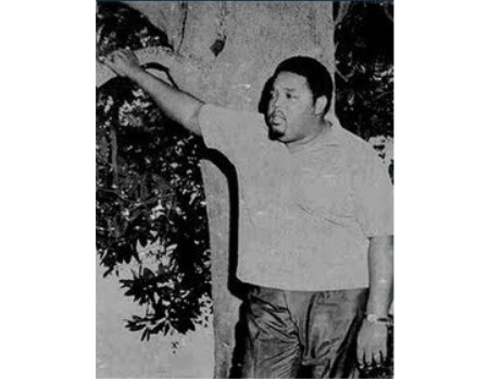 Perché preferisco scoprire artisti vintage come Lee Moses nei negozi di dischi?