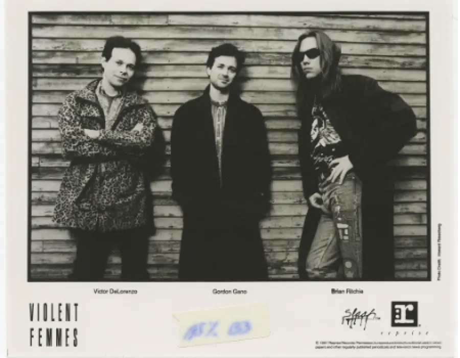 Perché le Violent Femmes sono un'importante band di musica americana?