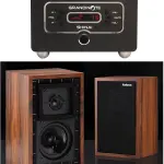 Due recenti recensioni di follow-up