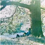 Plastic Ono Band di Yoko Ono, Blu-ray con sessione live per il 50 ° anniversario