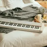 Lancio della nuova serie Casiotone