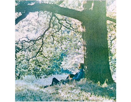Plastic Ono Band di Yoko Ono, Blu-ray con sessione live per il 50 ° anniversario