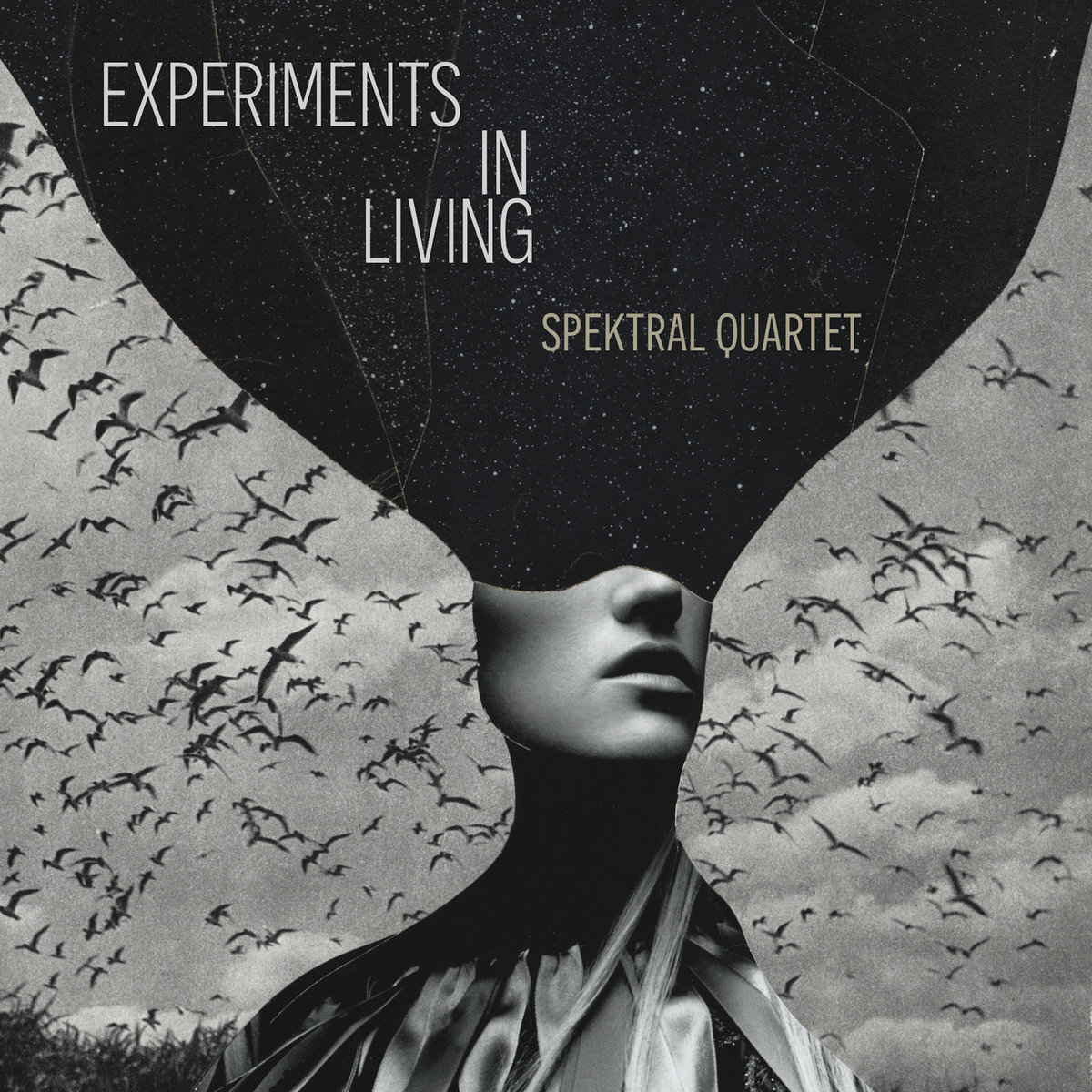 Experiments in Living: Spektral Quartet