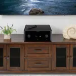 Recensione dell'amplificatore integrato Rotel Michi X5: campione dei pesi massimi