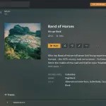 Alla ricerca di un'interfaccia degna di una TV per lo streaming di musica