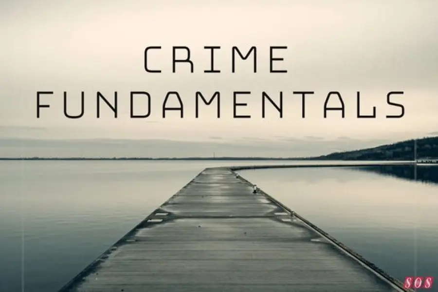 Whatabaudio rilascia l'espansione Zebra 2 per i compositori