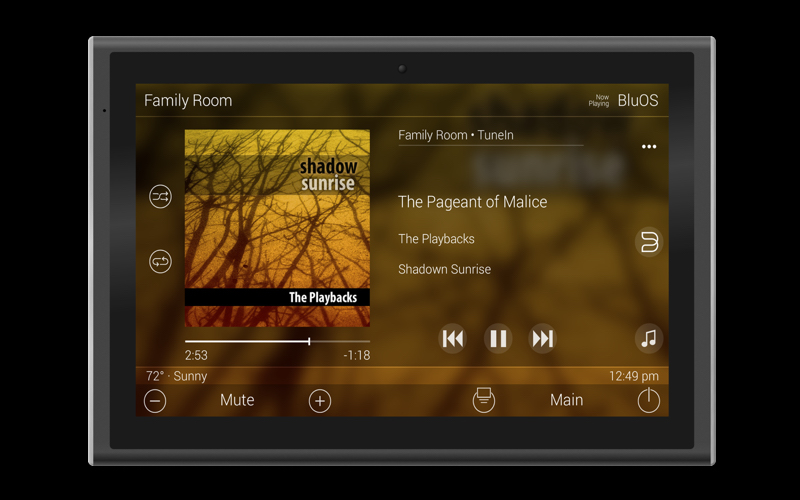 URC e BluOS collaborano per il modulo a due vie BluOS