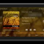 URC e BluOS collaborano per il modulo a due vie BluOS