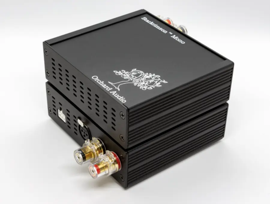 Premi Prodotto dell'anno 2021: Premi Amplificatore dell'anno