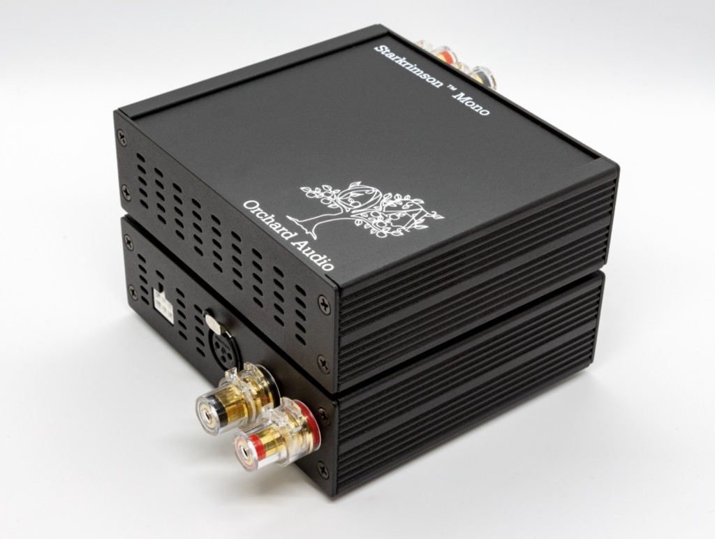 Premi Prodotto dell'anno 2021: Premi Amplificatore dell'anno