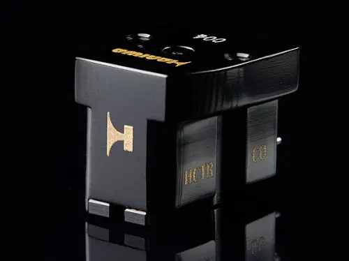 Analog Corner # 299: Haniwa HCVC01, CAD Ground Control, DS Audio Vinyl Ionizer-001