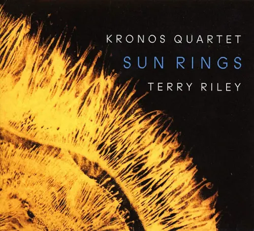 Terry Riley: ottieni ciò di cui hai bisogno