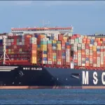 La catena di fornitura TV: fare il punto