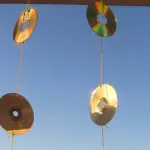 Ho scoperto un nuovo, triste utilizzo per il CD