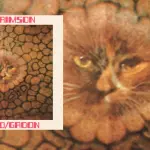 EP Cat Food di King Crimson su vinile, Tidal, Qobuz e Spotify