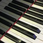 Il sito web del tastierista offre lezioni di piano su Skype