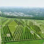 Quindi al tuo vicino piace suonare il suo stereo davvero forte