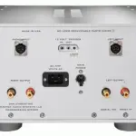 Amplificatore stereo progressivo Dan D'Agostino Master Audio Systems