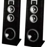 Altoparlante Orpheus 808